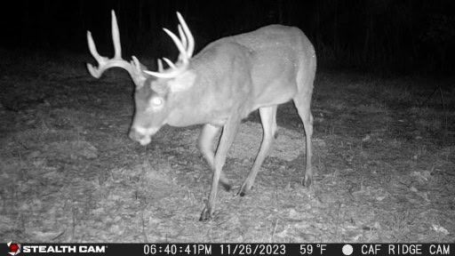 Predicting the 2024 Kentucky Deer Rut: What Hunters Can Expect 1 Predicting the 2024 Kentucky Deer Rut: What Hunters Can Expect 23112618404001015418
