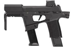 Sig Sauer P365 Flux 9mm Blk w/Romeo-X 5 Sig Sauer P365 Flux